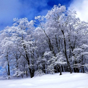 ���l(xi��ng)�Ķ���