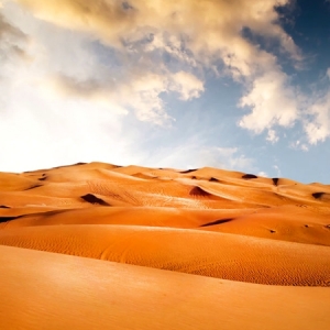 ����(sh��)�����ˡ����ģ��L(f��ng)�ı�����(l��i)