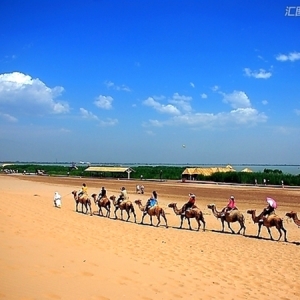 ����(sh��)�����ˡ����ģ����c����