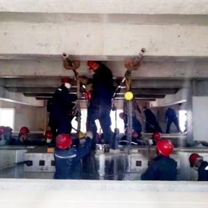 늘O�ϵ�����