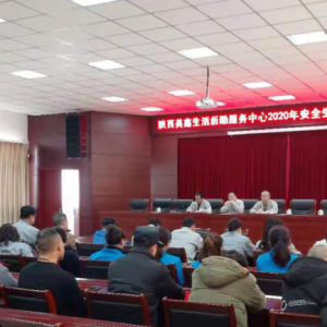 ���ڷ����������_2020�갲ȫ���a(ch��n)���h(hu��n)��������������