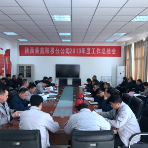 ꖘO�ֹ�˾���_2019��ȹ������Y(ji��)��