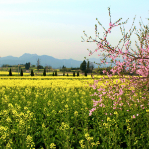 ������ů���_(k��i)