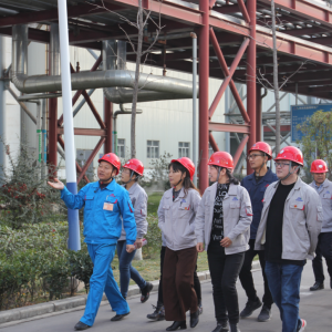 �Ї�(gu��)��ɫ���٣������v����ߡ��������I(l��ng)�³��B(t��i)���k���ҹ���