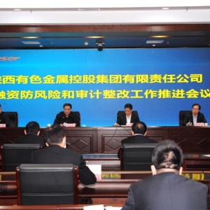 �����ɫ���F(tu��n)���M(j��n)Ͷ���Y���L(f��ng)�U(xi��n)�͌�Ӌ(j��)���Ĺ���