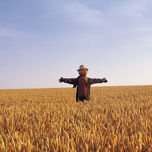 �����ˡ��c���L(f��ng)��ͬ����