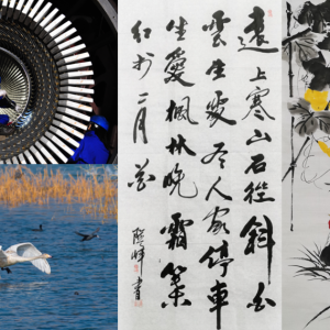 ��˾���x�S���� �cף��ɫ���F(tu��n)��˾����20��������zӰչ