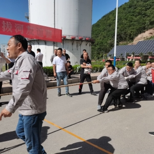 �B��(qi��ng)ƴ�������ľ��� �V�I(y��)��˾�ڰκӱ�ِ��ժ�ù��