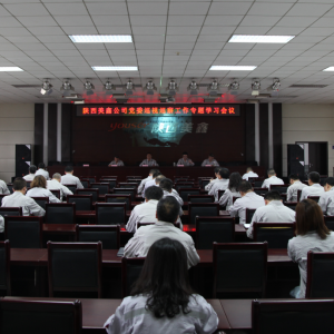 ��˾�hί���_Ѳ�칤�����}�W����