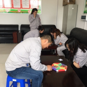 �|�zӋ�����Ĺ������c���ι�˾����ʮ���ꡱ�������ِ�A�M�ɹ�