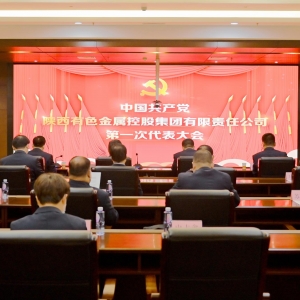 �Ї����a(ch��n)�h�����ɫ���ٿعɼ��F(tu��n)����؟(z��)�ι�˾��һ�δ���������_