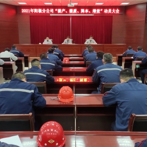 ꖘO�ֹ�˾���_2021�ꡰ��a(ch��n)�����|(zh��)����������Ч���ӆT���