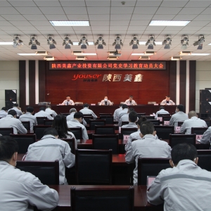 ������ι�˾���_�hʷ�W(xu��)��(x��)������(d��ng)�T���(hu��)