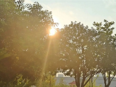 �峿���Z(y��)