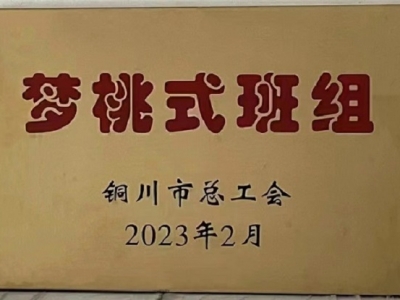 ꖘO�ֹ�˾����܇�g�{(di��o)�ذ�@��2022����~���С�����ʽ��M���s�u(y��)�Q̖