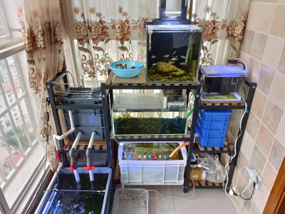 �N�����~����