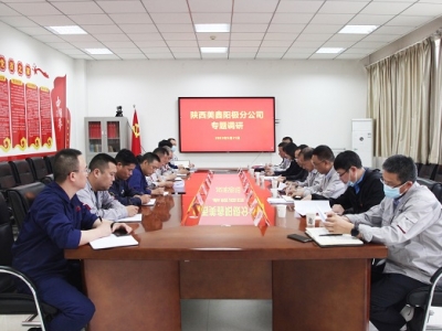 �����ɫ���ټ��F(tu��n)�hίί�T��������(j��ng)�������۵���˾�{(di��o)��