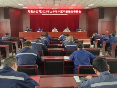 �(y��ng)�O�ֹ�˾���_(k��i)2024���ϰ����ЌӸɲ���(j��)Ч���˕�(hu��)