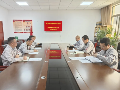 �V�I(y��)��˾�h֧�����_2024��ȽM�������